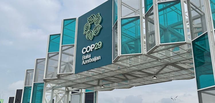 COP29